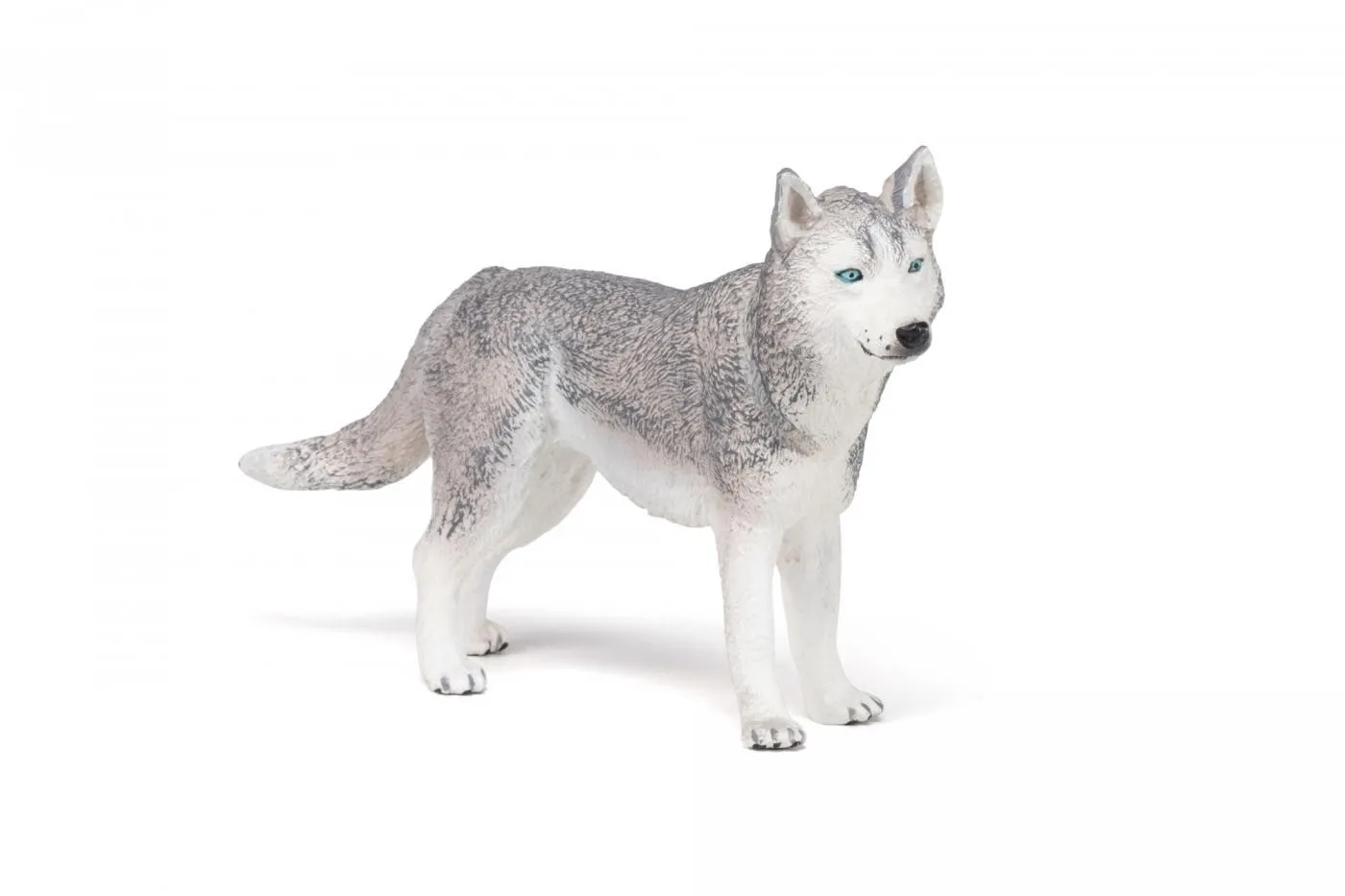 PAPO FIGURINA HUSKY SIBERIAN - imagine 3