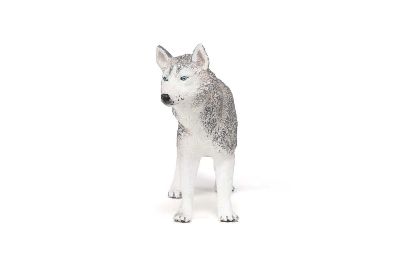 PAPO FIGURINA HUSKY SIBERIAN - imagine 4