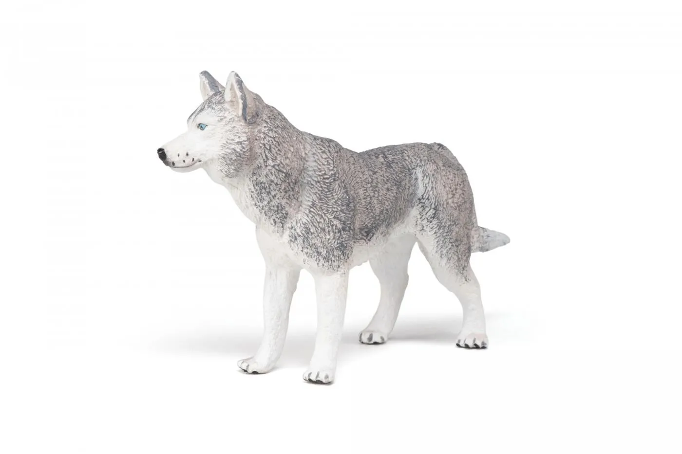 PAPO FIGURINA HUSKY SIBERIAN - imagine 5