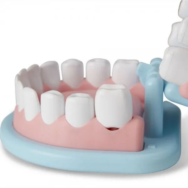 MELISSA AND DOUG SET DE JOACA SUPER SMILE LA DENTIST - imagine 6
