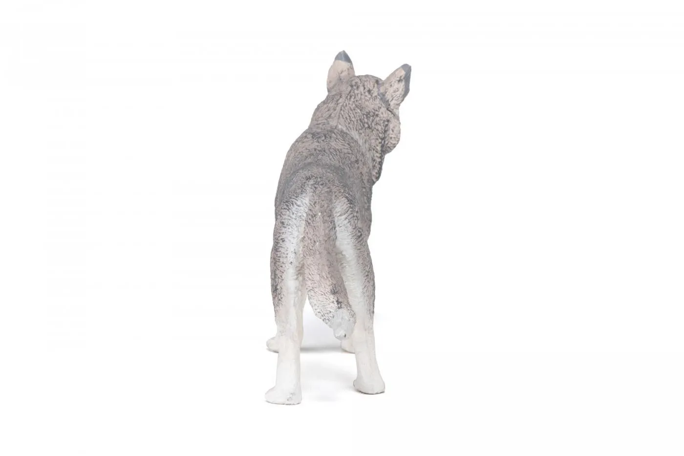 PAPO FIGURINA HUSKY SIBERIAN - imagine 7