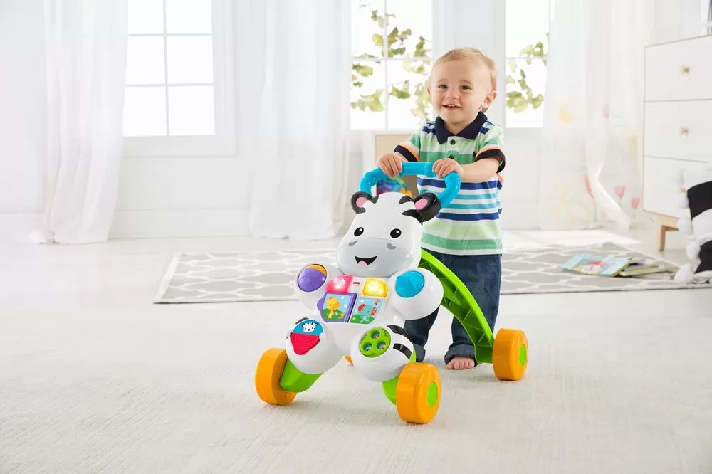 ANTEPREMERGATOR ZEBRA FISHER PRICE - imagine 7