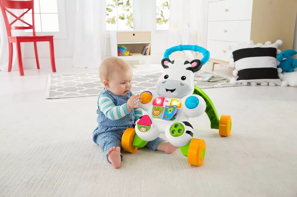 ANTEPREMERGATOR ZEBRA FISHER PRICE - imagine 8