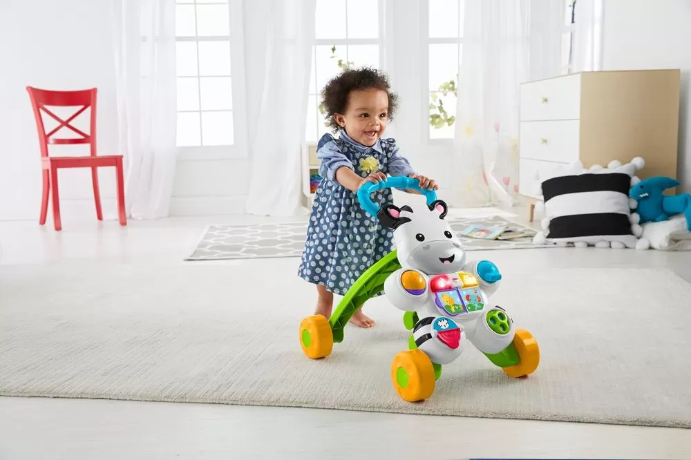 ANTEPREMERGATOR ZEBRA FISHER PRICE - imagine 9
