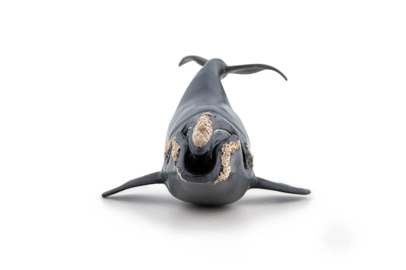 PAPO FIGURINA BALENA - imagine 5
